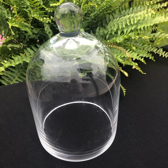 Accents | 8 Glass Cloche Dome Bell Terrarium Taxidermy Plant Figurine ...